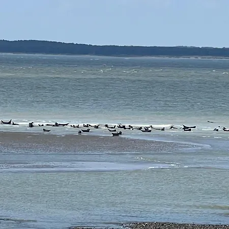 Maison De Pecheurs Malvina * Le Treport